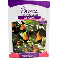 Süs Kabağı Çiçek Tohumu 5 Adet