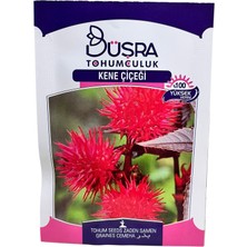 Kene Çiçeği Tohumu 5 Adet