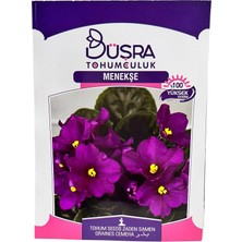 Menekşe Çiçeği Tohumu 25 Adet
