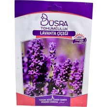Lavanta Çiçeği Tohumu 100 Adet