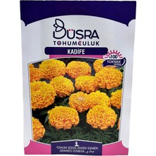 Kadife Çiçeği Tohumu 50 Adet