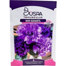 Mor Karanfil Tohumu 25 Adet