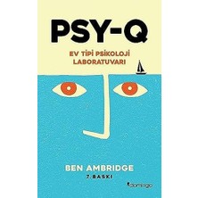 Renklimestore Psy-Q: Ev Tipi Psikoloji Laboratuvarı