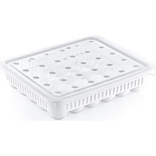 Renklimestore 30'lu Yumurta Saklama Kabı