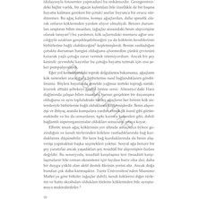 Renklimestore Ağaçların Gizli Yaşamı: Ne Hissederler, Nasıl Iletişim Kurarlar – Gizli Bir Dünyadan Keşifler