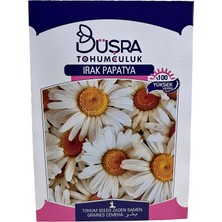 Irak Papatya Çiçek Tohumu 30