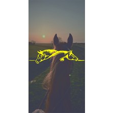 At Sticker 20X5CM Atlar Jdm Araba-Moto-Laptop Cam Etiket Hologram Seçenekli Etiket Sticker Çıkartma