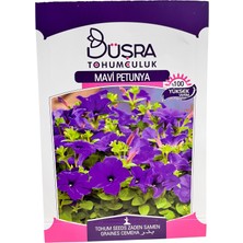 Mavi Petunya Çiçek Tohumu 35 Adet