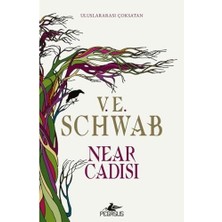 Renklimestore Near Cadısı