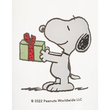 Renklimestore Can Dükkan Cam Bardak (365 Cc) - Snoopy Hediye