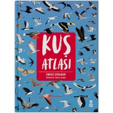 Renklimestore Kuş Atlası
