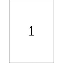 Renklimestore 4375 Hava Şartlarına Dayanıklı Folyo Etiketleri Dın A4 Şeffaf 210 x 297 Mm, 25 Yaprak, Polyester Folyo, Mat Kendinden Yapışkanlı, Yazdırılabilir, Kalıcı Yapışan Yapışkan Folyo, 25 Yapışkan