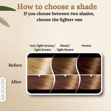 Renklimestore Sea Color Home Colorist 8.37 Sahra Sahara