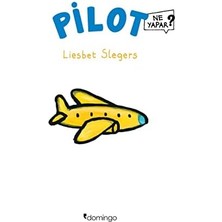 Renklimestore Pilot Ne Yapar?