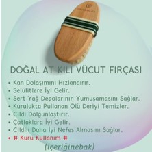 Renklimestore Doğal At Kılı Selülit/vücut Fırçası (Kese Hediyeli)