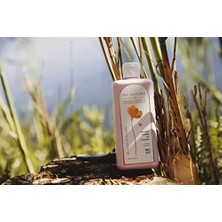 Renklimestore Iva Natura Organik Dinlendirici Duş Jeli Lavanta Özlü, Rahatlatıcı ve Arındırıcı, Parabensiz ve Glutensiz, 350 ml