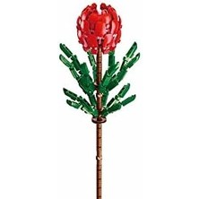 Renklimestore Pleyerid Begonvil Yapım Seti, 243 Parça