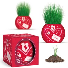 Renklimestore Aşk Temalı Xl Çim Adam - 6'lı Bitki Yetiştirme Seti – Romantik ve Eğlenceli Bir Hediye