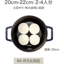 Renklimestore , Döküm Tencere, 40508-703, 20 cm Adaçayı