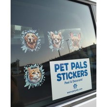 3D Görünümlü Kırık Cam Efektli Kedi Köpek Sticker - Araç ve Ev Için Dekoratif Yapıştırma Seti