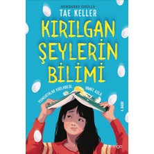 Renklimestore Kırılgan Şeylerin Bilimi: Yumurtalar Kırılabilir Umut Asla