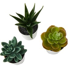 Renklimestore Saksılı Yapay Saksı Bitkisi, Iç ve Dış Mekan Için, 203.953.31, Sulu