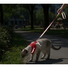 Reflektörlü Şeritli, Kaçış Geçirmez Ayarlanabilir Kedi Göğüs Tasması ve Gezdirme Kayışı Seti – Turuncu Yumuşak Mesh Dokulu Konfor Serisi
