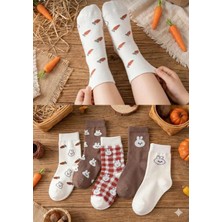 5 Çift Çocuk Tavşan Desenli Çorap