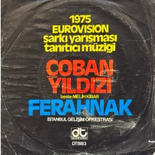 Kadıköy Plak Kulübü Istanbul Gelişim Orkestrası – Çoban Yıldızı / Ferahnak 45'lik