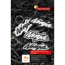 Jetniva Kawasaki Ninja Motosiklet Anahtarlığı - V1