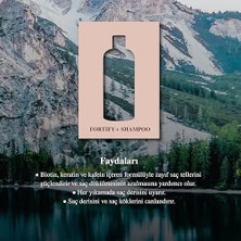 Uslucan Alışveriş Fortify+ Shampoo 400 ml  Series Şampuan
