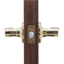 Uslucan Alışveriş WL2220PB Kapı Kolu, 7,62 x 12,7 x 17,32 Cm, Cilalı Pirinç