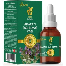 Uslucan Alışveriş Acı Elma Yağı 10ML%100 Saf Arlab Bitter Apple Oil Pure Salvia Officinalis Oil