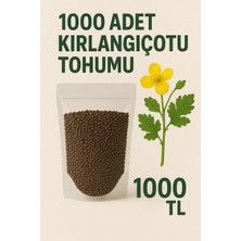 Kırlangıç Otu TOHUMU-1000 Adet Ata Tohumu.