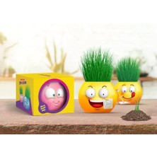 Uslucan Alışveriş Emoji Temalı Çim Adam 6'lı Set – Çocuklar Için Eğitici ve Eğlenceli Bitki Yetiştirme Kiti