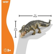 Uslucan Alışveriş Amerikan Timsahı