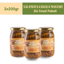 Saklı Orman Avantajlı 3 Lü Doğal Salamura Kanlıca Mantarı (3x 200G)