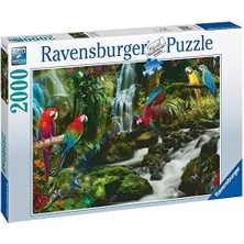 Uslucan Alışveriş 2000 Parçalı Puzzle Renkli Papağanlar