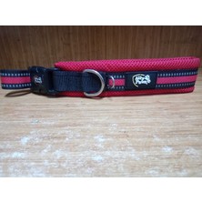 Allypaws Köpek Boyun Tasması L Beden