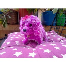 Uslucan Alışveriş Mia Pıllı Havlayan Kopek - Mor - 15 cm Oyuncak