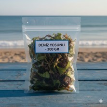 Doğal Deniz Yosunu 100 gr – Dekoratif, Teraryum, Mum, Akvaryum ve El Işi Süsleme Için