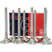 Doğan Kartal Şahin Subap 1.6