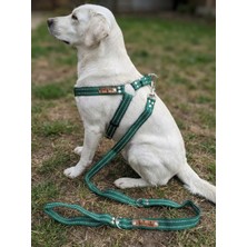 Balkonda Köpek Göğüs Tasması Ayarlanabilir ve Gezdirme Kayışı 2'li Set Küçük ve Orta & Büyük Irk