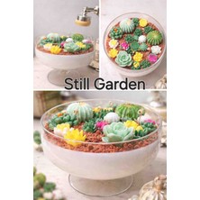Minaşk Candle Still Garden Sukulent Bahçesi Soya Mum