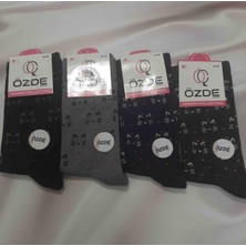 Shine Elagance Siyah Gri Lacivert Antrasit 4'lü Desenli %80 Pamuk Kadın Soket Çorap