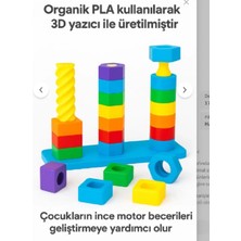 Organik 3D Baskı Renkli Şekil Eşleştirme Oyuncağı - Eğitici Aktivite Seti - Ince Motor Gelişimi
