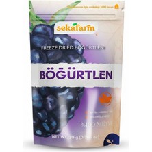 Sekafarm Freeze Dried Böğürtlen 20 gr
