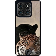 Scaleta Case Reeder S71 Uyumlu Jaguar Tasarımlı Glossy Mat Siyah Silikon Telefon Kılıfı