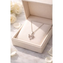 Begonia Accessories Vip Çelik 14K Altın Kaplama Paslanmaz Kararmaz Alerji Yapmaz Zirkon Taşlı Minimal Figürlü Çivi Halka Küpe 1 Çift Set Günlük ve Özel Günlerde Kullanıma Uygun