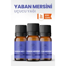 Aroviva Yaban Mersini Oda Kokusu 3'lü Set – Buhurdanlık Yağı, Difüzör Esansı ve Esansiyel Uçucu Yağ